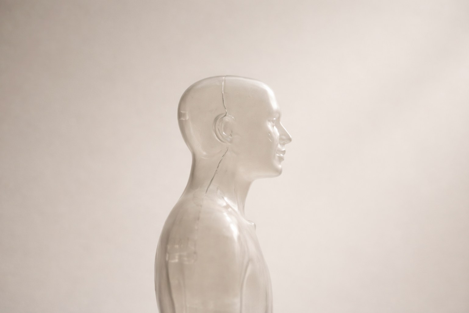 Translucent sculptural bust representing the human element in AI