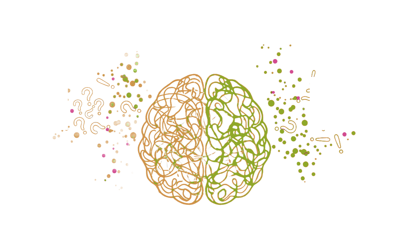 Illustration of a brain flanked by lightbulbs, symbolising ideas and questions
